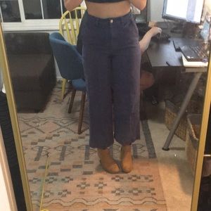 Everlane Wide Leg Crop Pant